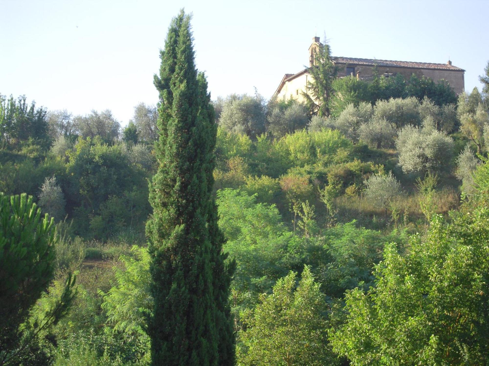 Villa Caprera Siena Rum bild
