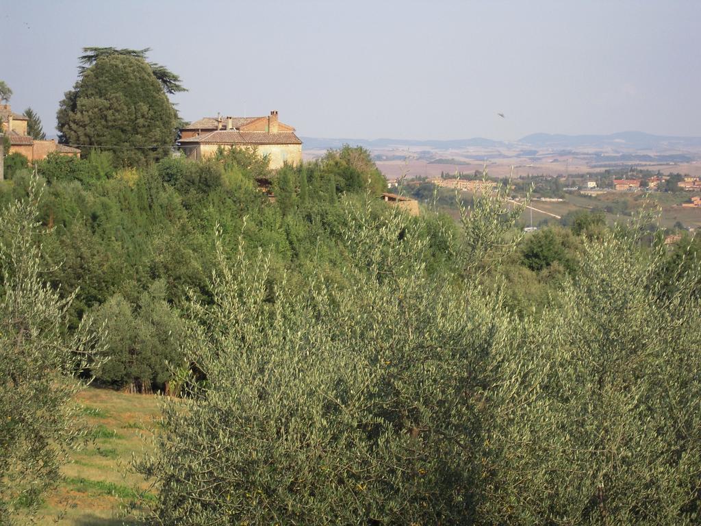 Villa Caprera Siena Exteriör bild